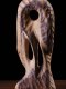 Forme libere7 , Constantin Grangure
